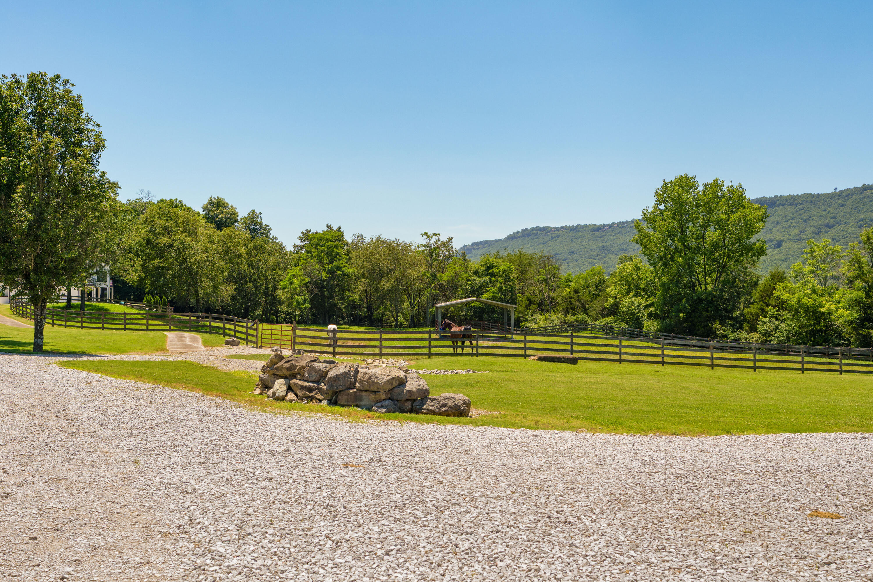 527 Reads Lake Road Chattanooga, TN 37415 - Photo 50 of 100 83 - 527 Reads Lake - Grounds