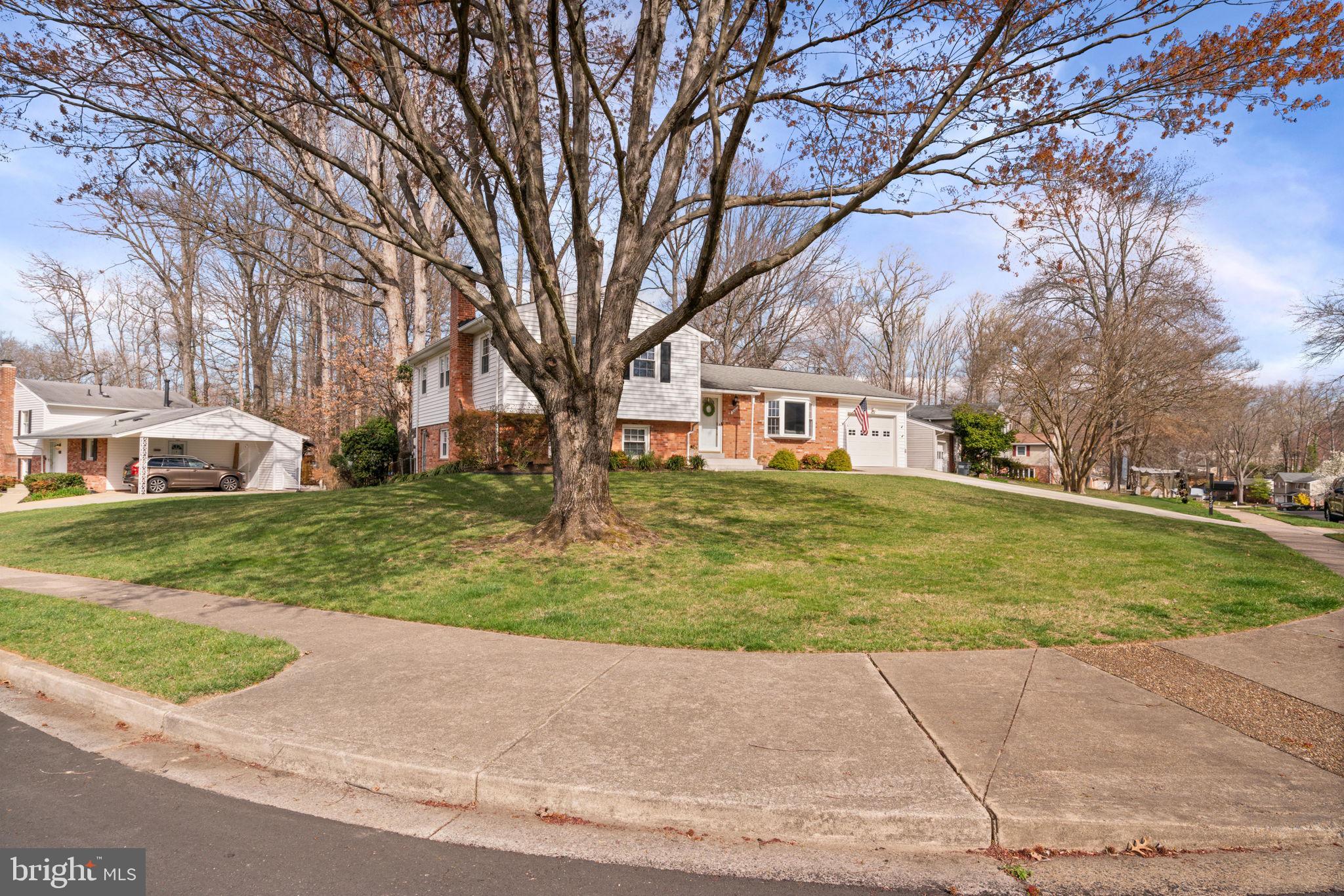 6520 Greenview Lane Springfield, VA 22152 - Photo 4 of 47 Gallery Image 4