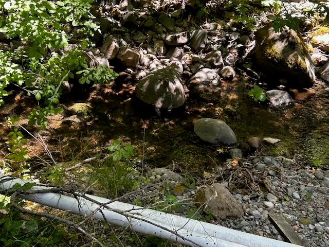 a view of a backyard of a house