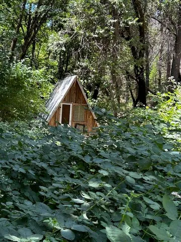 a view of lake from a tree