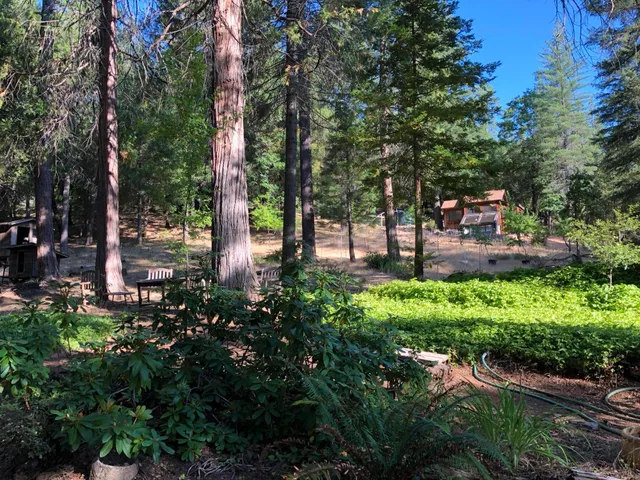 a view of a street with houses on the side