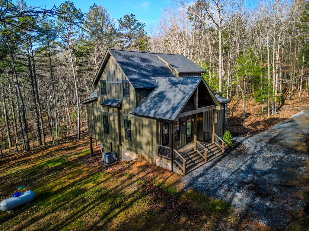 161 River Ridge Lane Blue Ridge, GA 30513 - Photo 11 of 41 Gallery Image 11