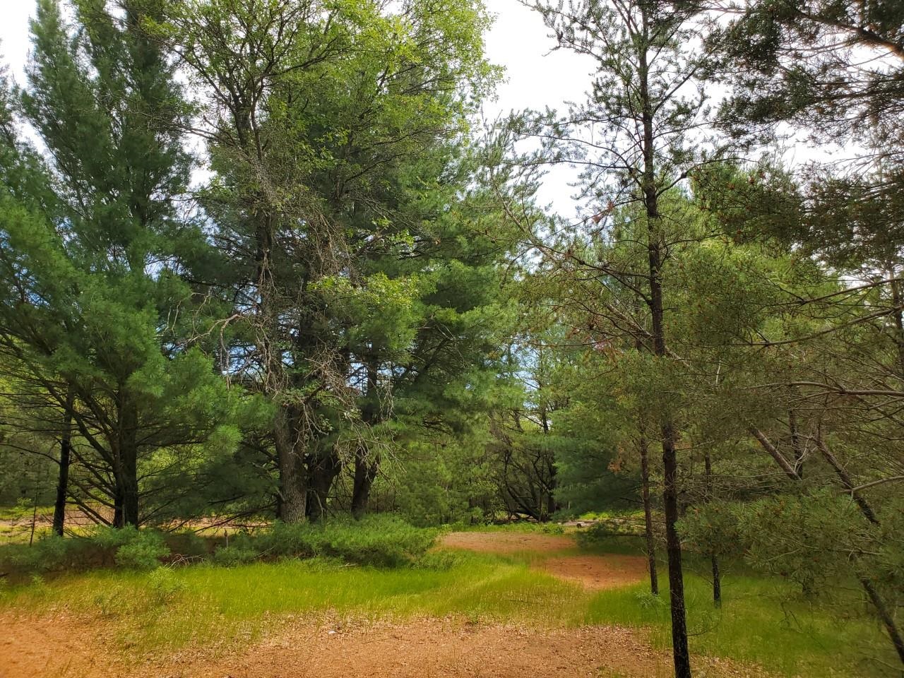 0 Cabin Lake Road West Branch, MI 48661 - Photo 3 of 5 1902033-2.JPG