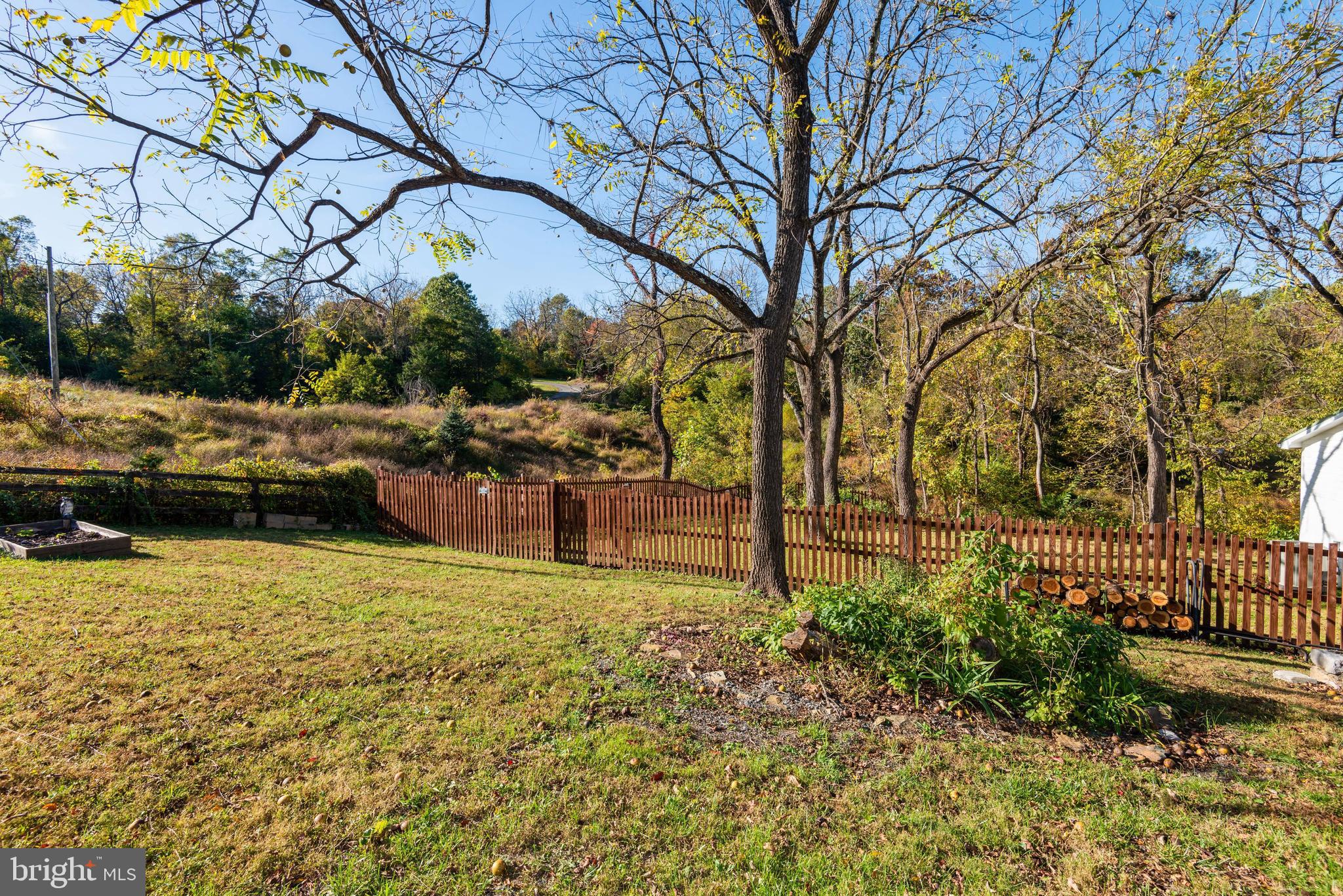 39852 Thomas Mill Road Leesburg, VA 20175 - Photo 28 of 40 1.3 acres of land surrounding the house