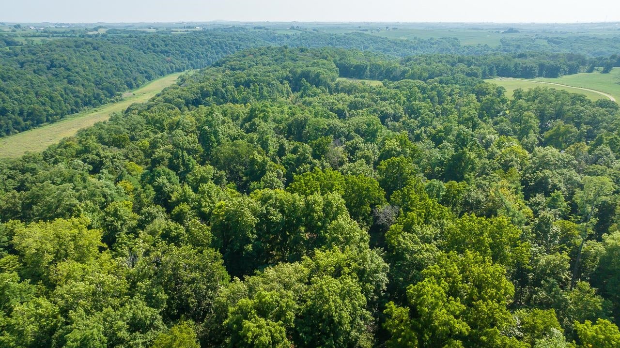 6-acres Airport Road Platteville, WI 53818 - Photo 10 of 11 Gallery Image 10