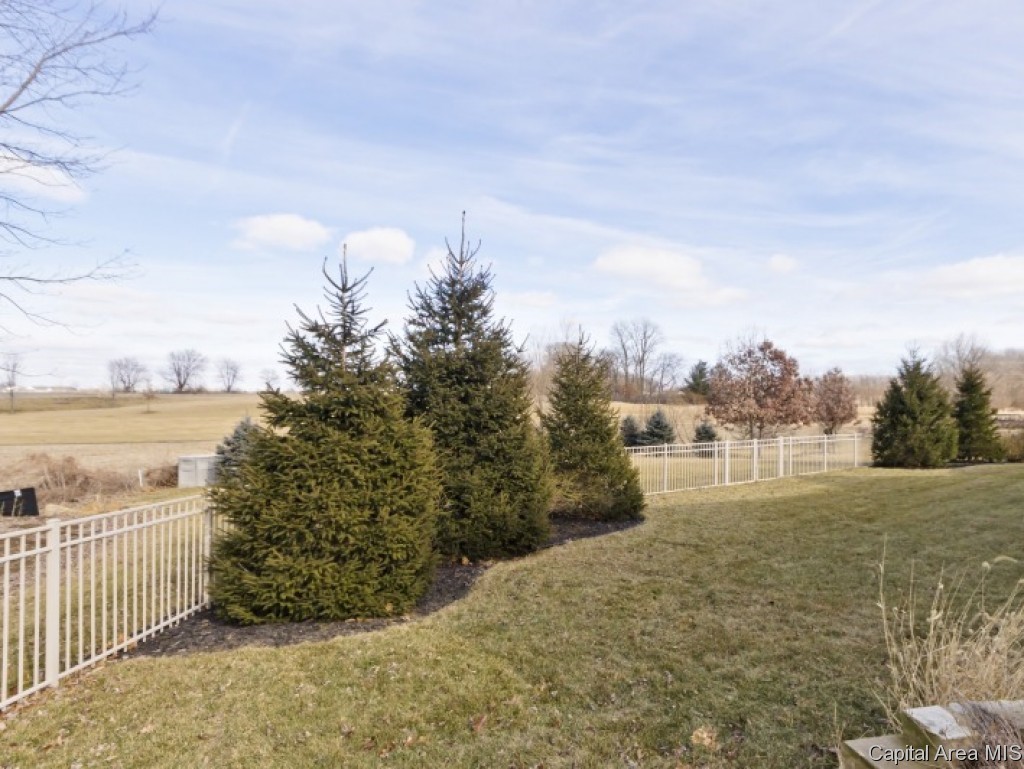 4312 Turtle Bay Springfield, IL 62711 - Photo 26 of 26
