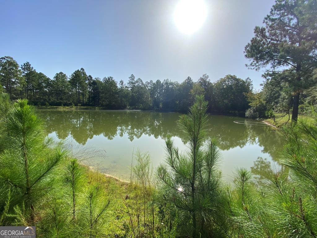 0 2nd Road Hazlehurst, GA 31539 - Photo 1 of 1 Main View