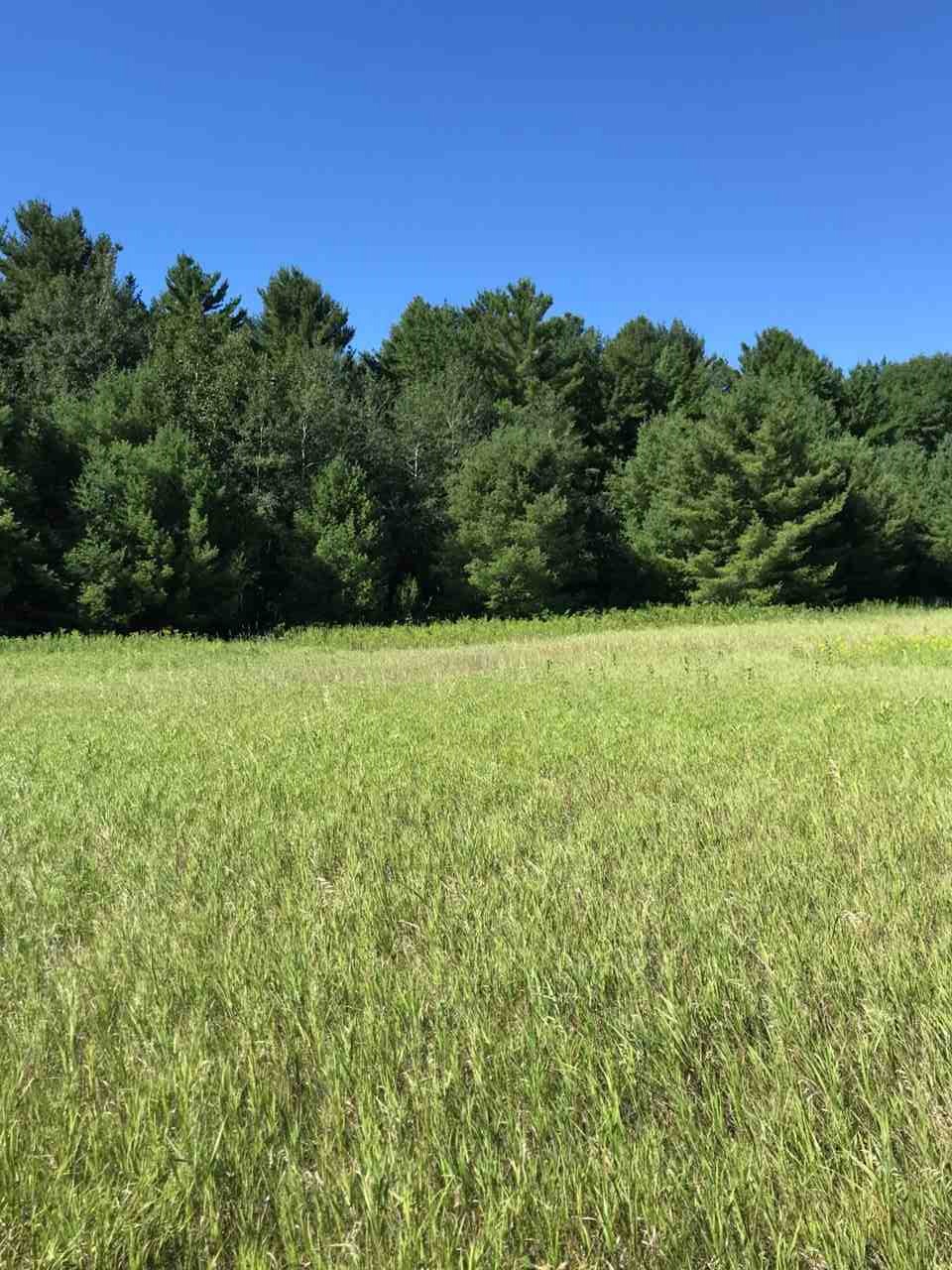 36-acres County Rd C Mosinee, WI 54455 - Photo 1 of 1