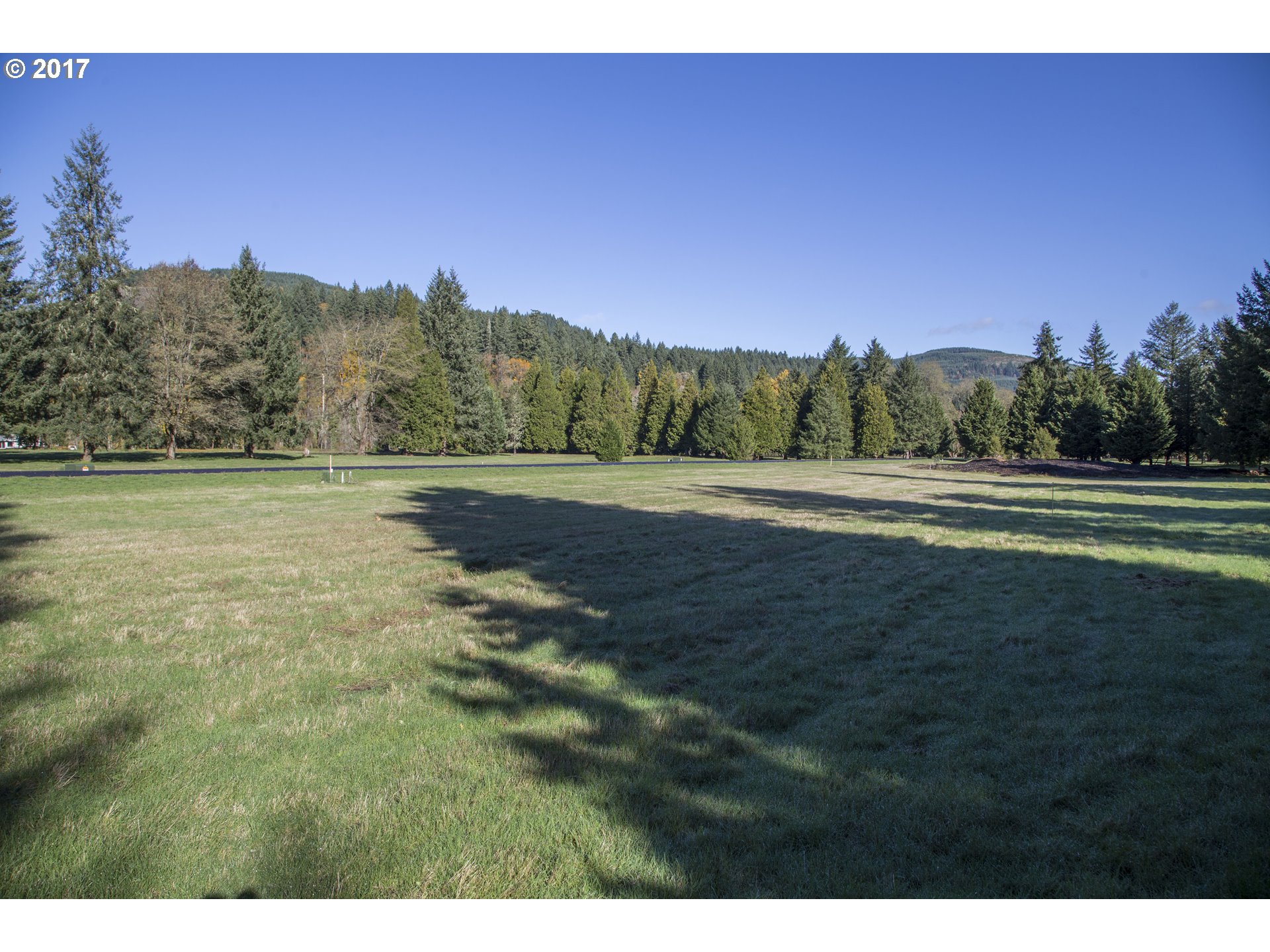 Omlid Drive, Unit 12 Springfield, OR 97478 - Photo 9 of 24 Gallery Image 9
