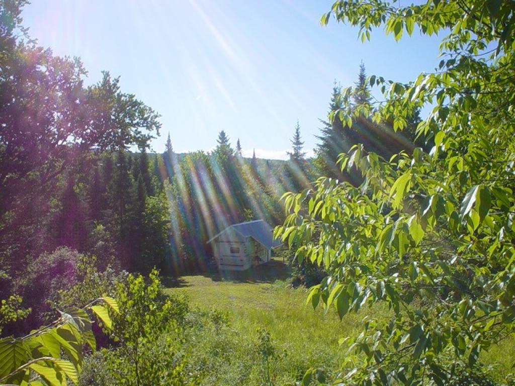 152 Deadwater Loop Road Clarksville, NH 03592 - Photo 22 of 36