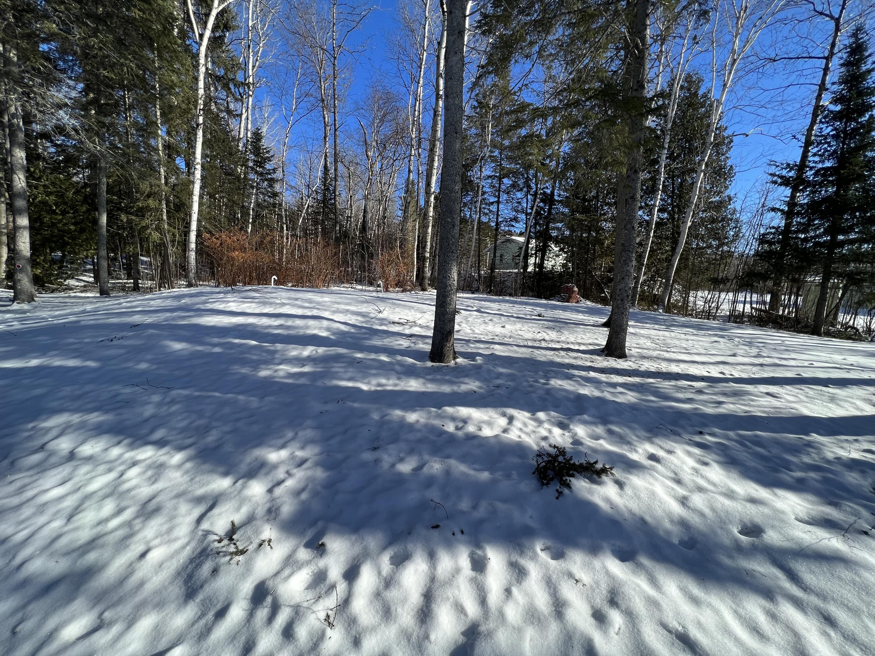 943 Lake Shore Road St. David, ME 04773 - Photo 106 of 142 IMG_5506
