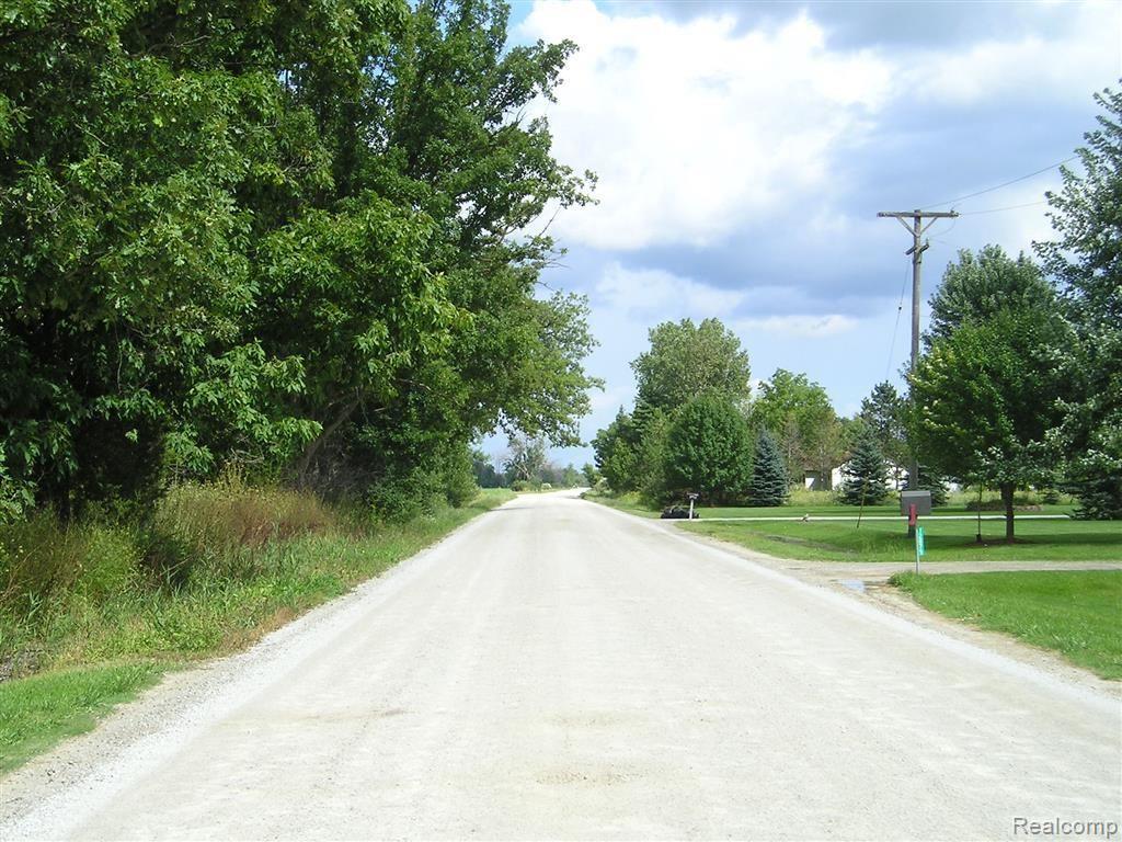 12084 Masters Road Memphis, MI 48041 - Photo 6 of 23 Masters Road view looking East from Subject's driveway.