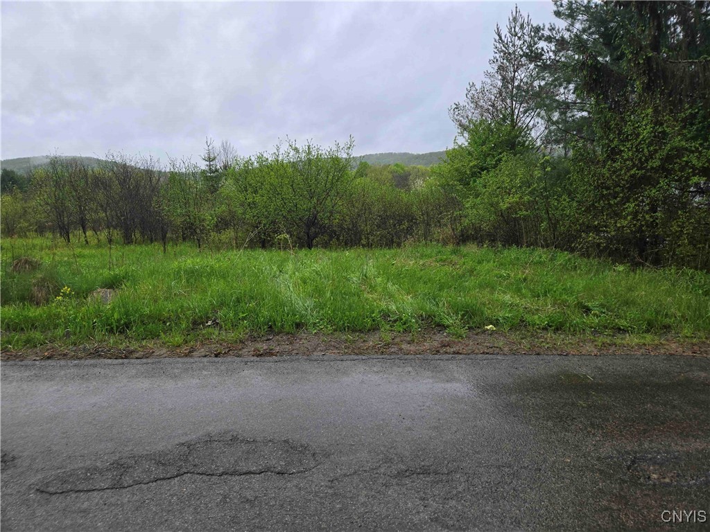 8935 Stout Road Cuba, NY 14727 - Photo 11 of 11