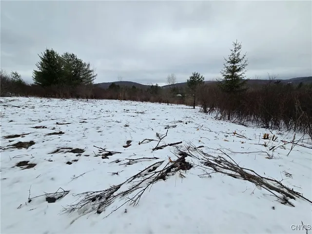 $11,900 | 8935 Stout Road, Cuba, NY 14727