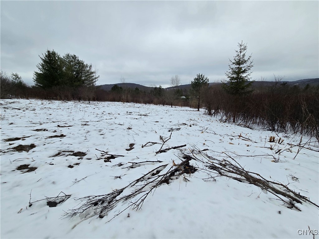 8935 Stout Road Cuba, NY 14727 - Photo 3 of 11