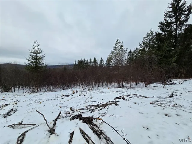 $11,900 | 8935 Stout Road, Cuba, NY 14727