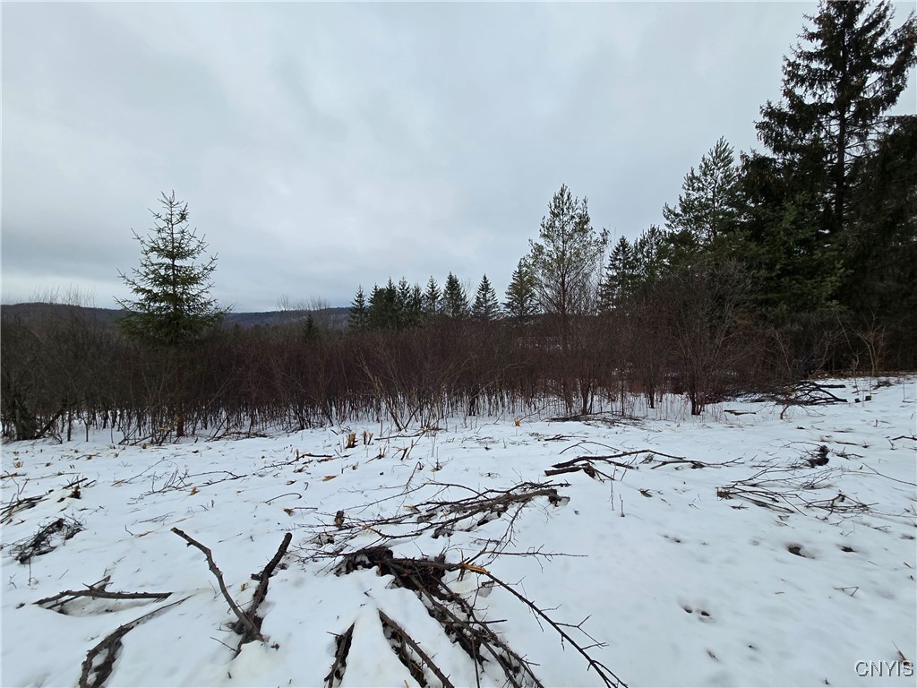 8935 Stout Road Cuba, NY 14727 - Photo 4 of 11