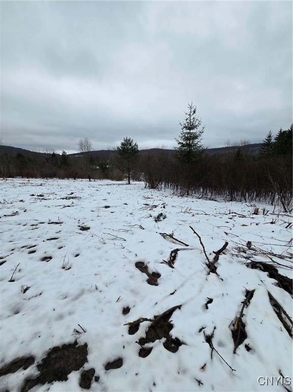 8935 Stout Road Cuba, NY 14727 - Photo 5 of 11