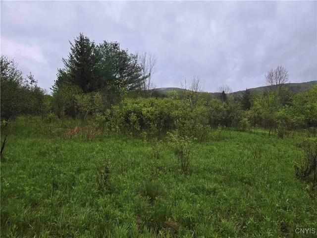 $11,900 | 8935 Stout Road, Cuba, NY 14727