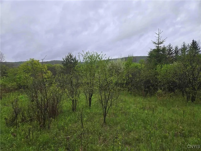 $11,900 | 8935 Stout Road, Cuba, NY 14727