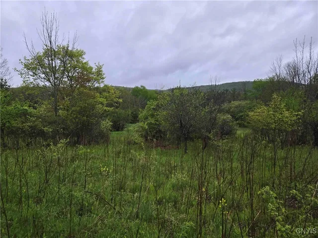 $11,900 | 8935 Stout Road, Cuba, NY 14727