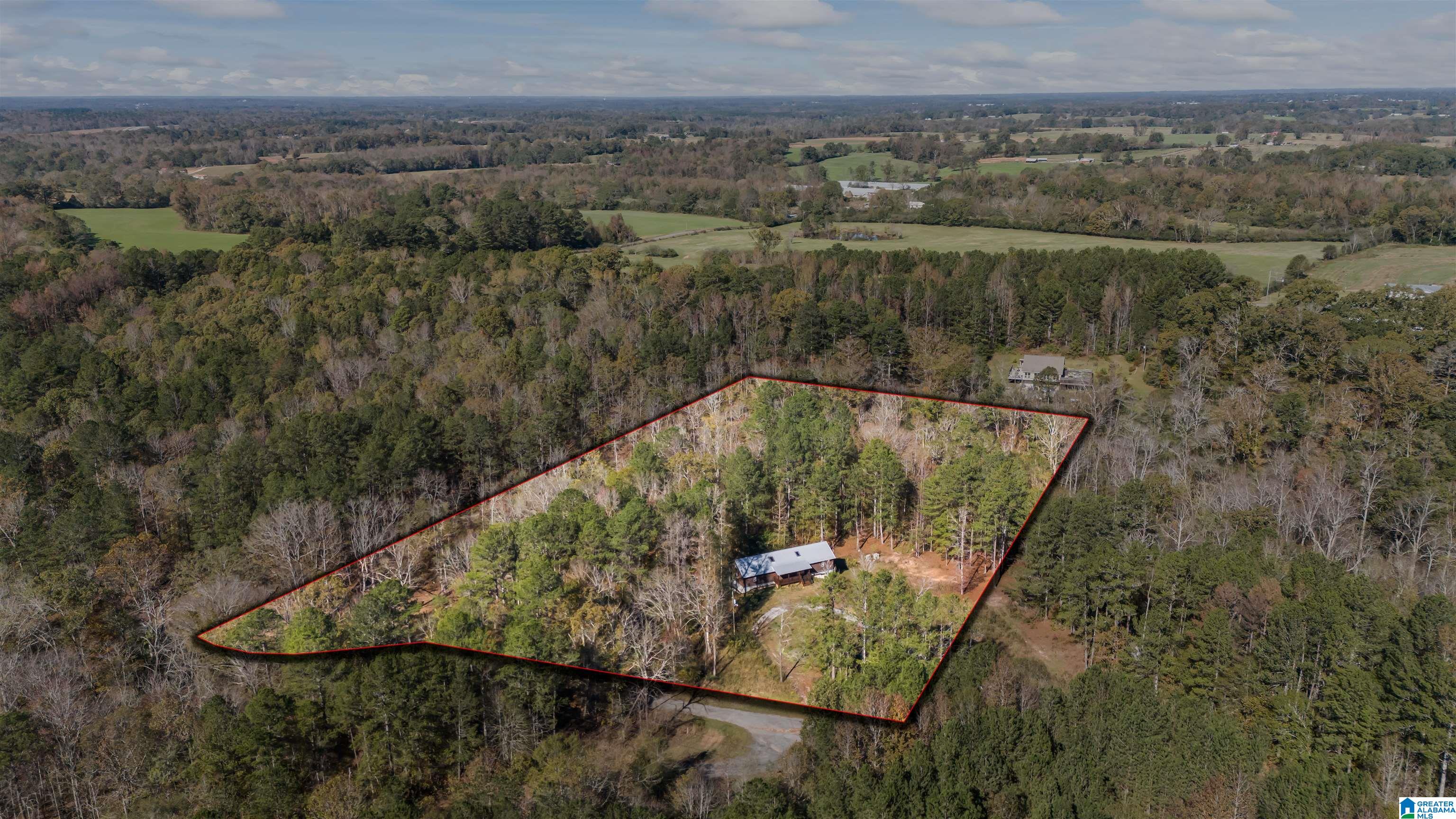 1078 Chamblee Mill Road Blountsville, AL 35031 - Photo 17 of 25