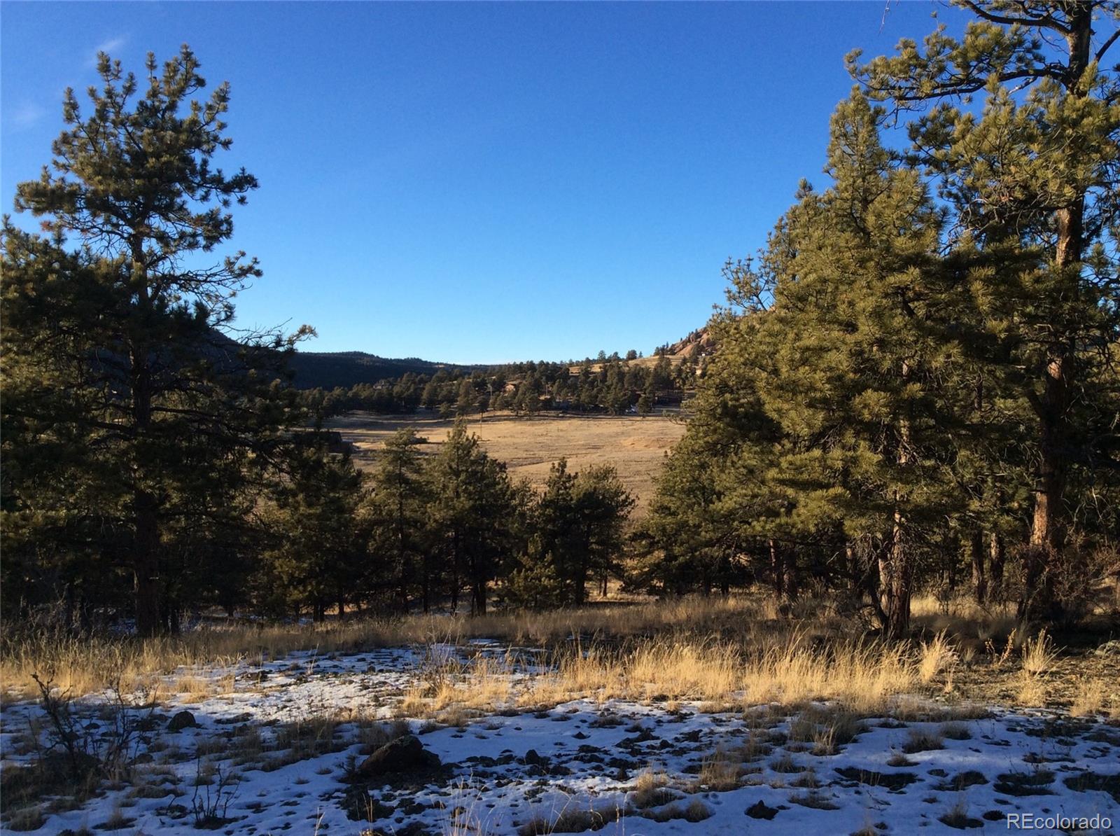 263 Apache Trail Florissant, CO 80816 - Photo 11 of 19