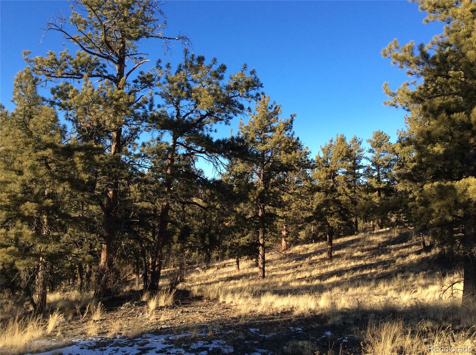 263 Apache Trail Florissant, CO 80816 - Photo 12 of 19