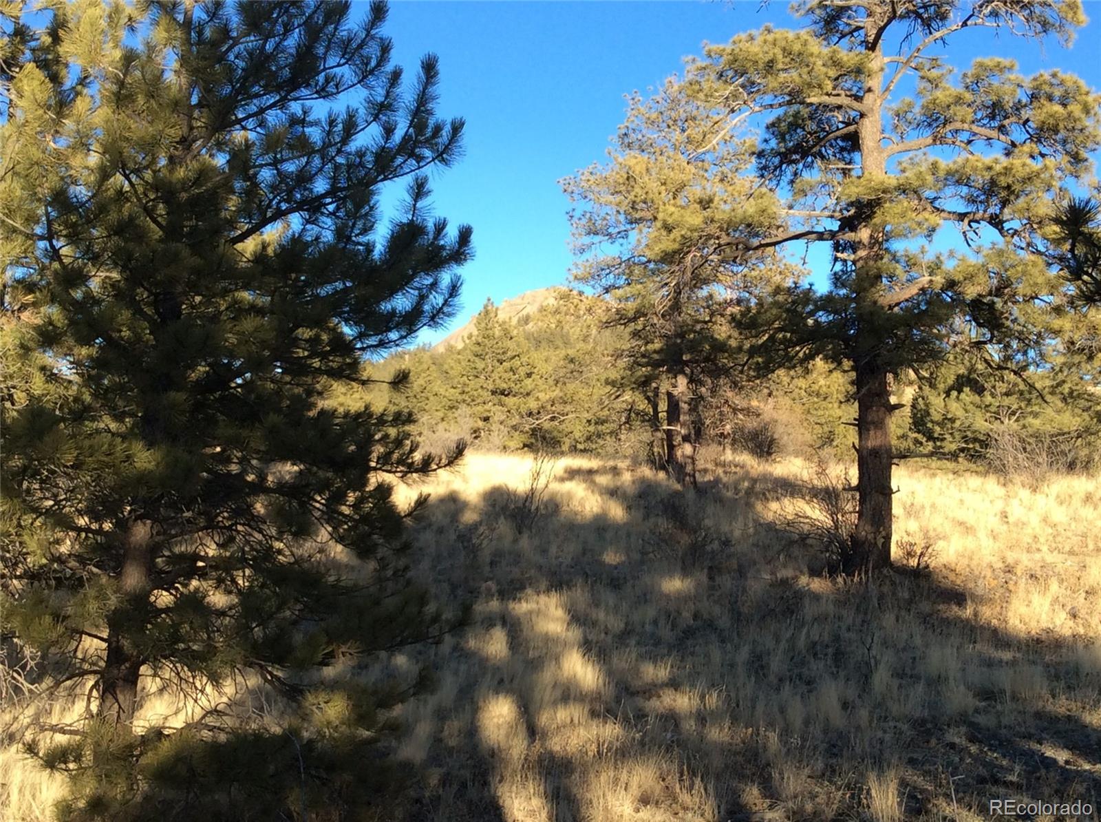 263 Apache Trail Florissant, CO 80816 - Photo 13 of 19