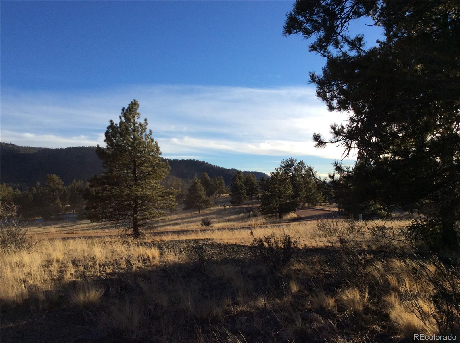 263 Apache Trail Florissant, CO 80816 - Photo 14 of 19