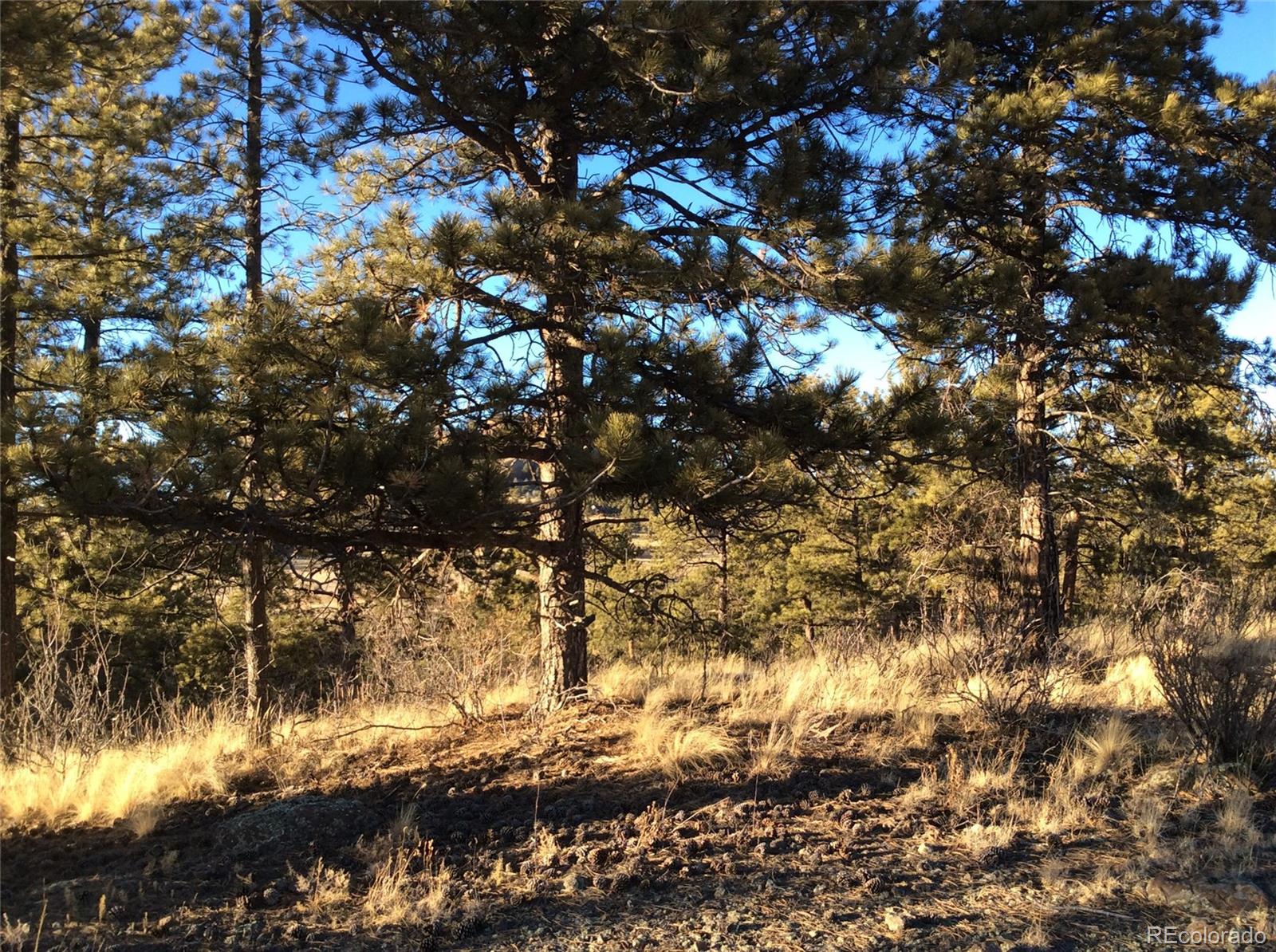 263 Apache Trail Florissant, CO 80816 - Photo 15 of 19