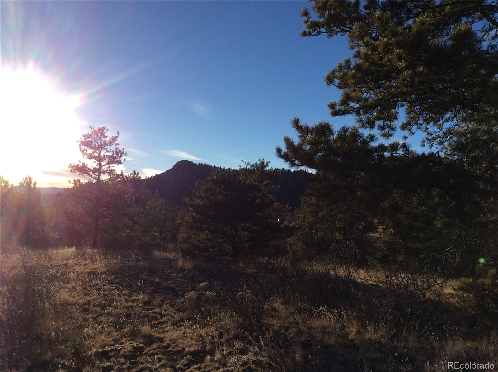 263 Apache Trail Florissant, CO 80816 - Photo 16 of 19