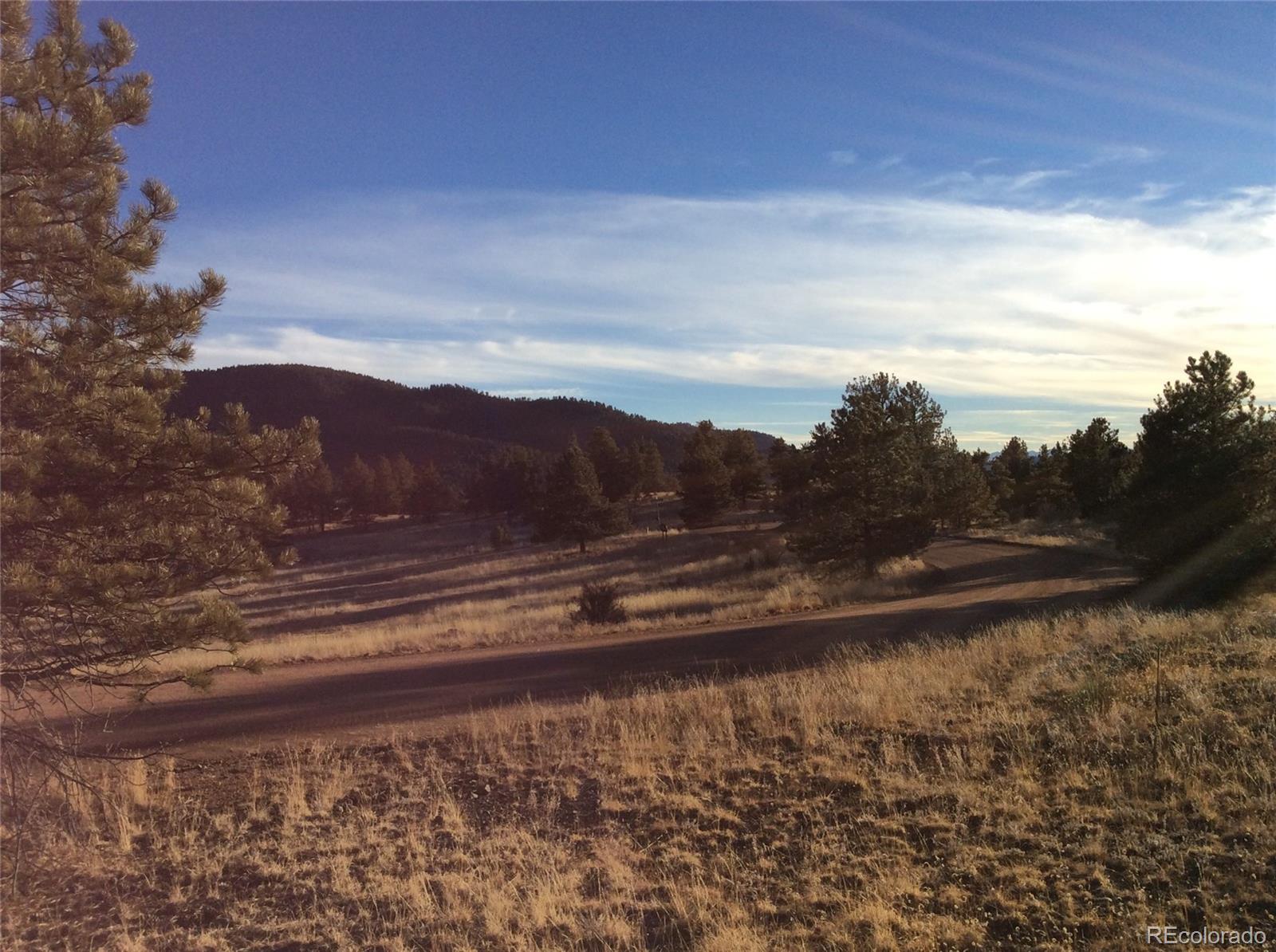 263 Apache Trail Florissant, CO 80816 - Photo 17 of 19