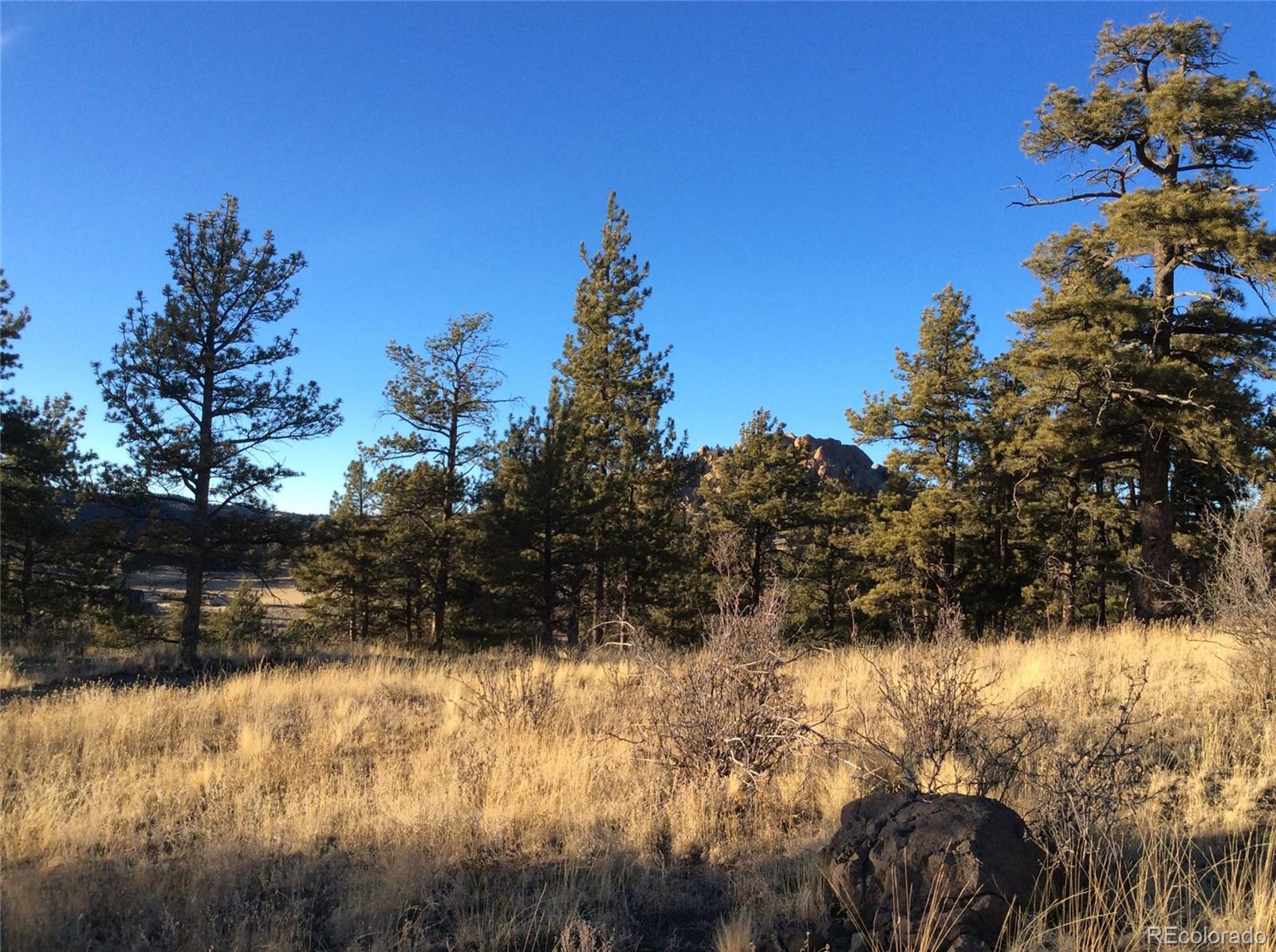 263 Apache Trail Florissant, CO 80816 - Photo 18 of 19