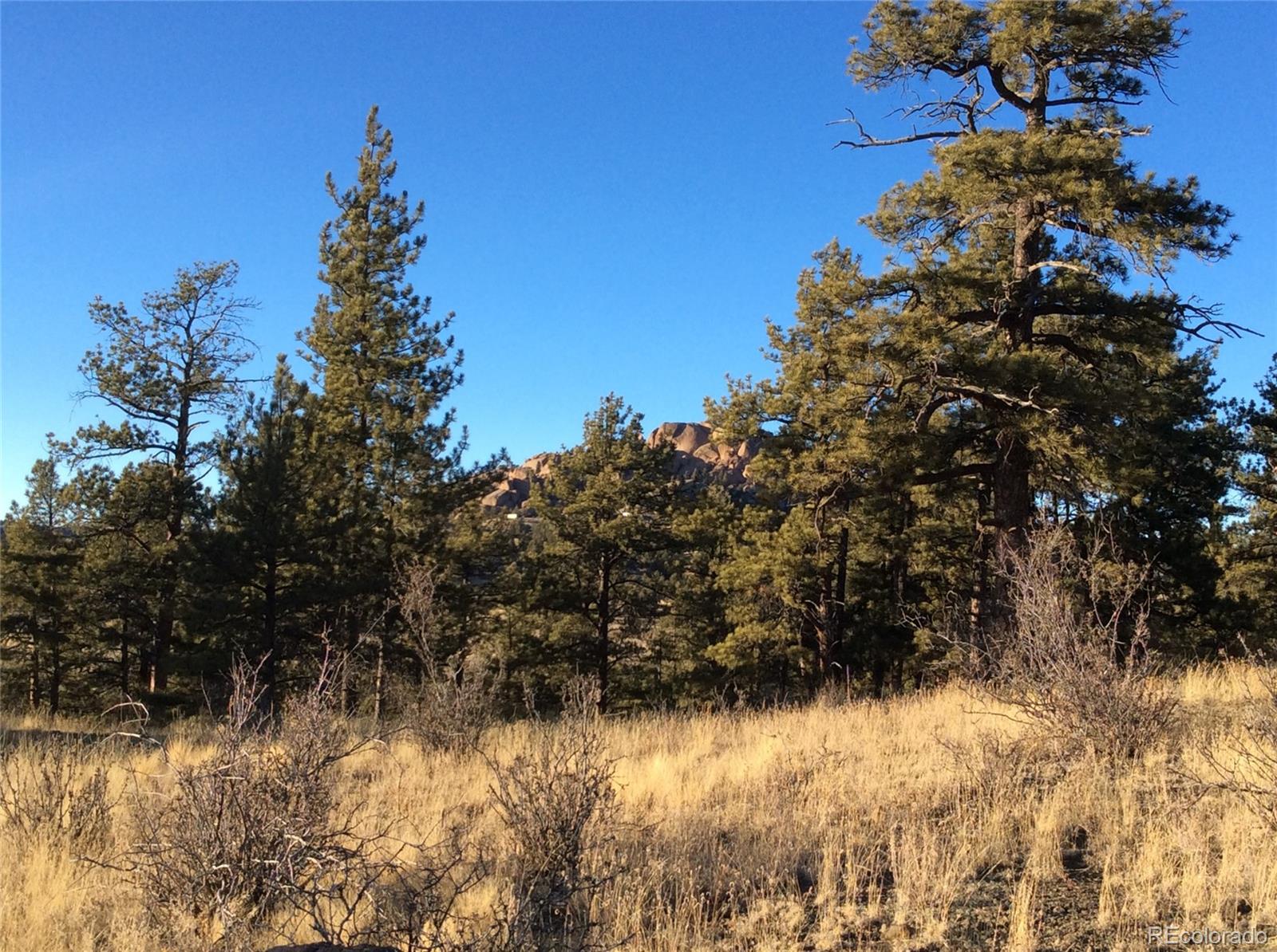 263 Apache Trail Florissant, CO 80816 - Photo 19 of 19