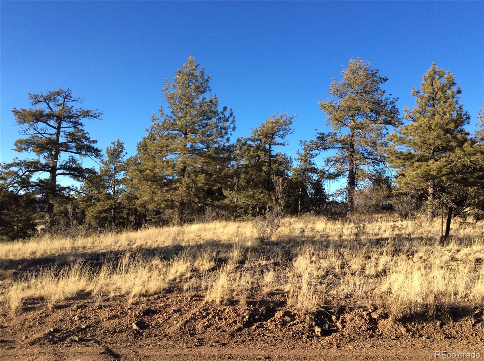 263 Apache Trail Florissant, CO 80816 - Photo 2 of 19