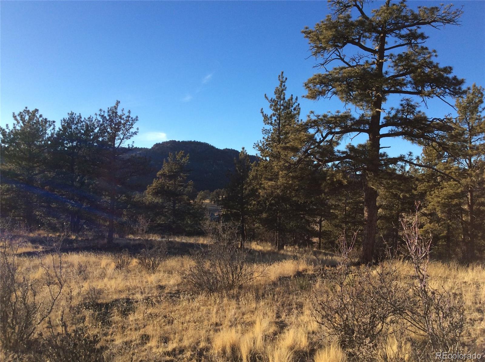 263 Apache Trail Florissant, CO 80816 - Photo 3 of 19