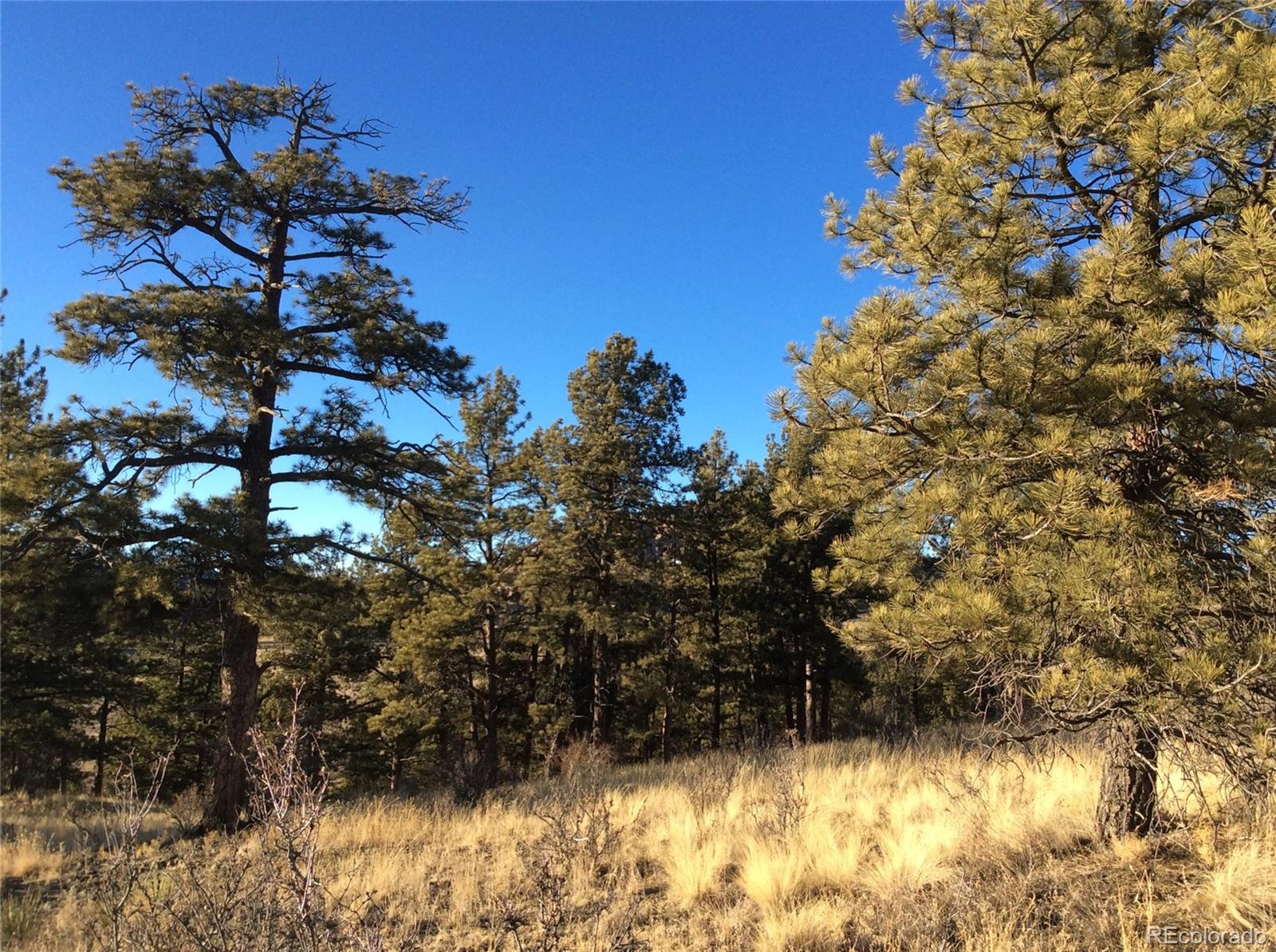 263 Apache Trail Florissant, CO 80816 - Photo 4 of 19