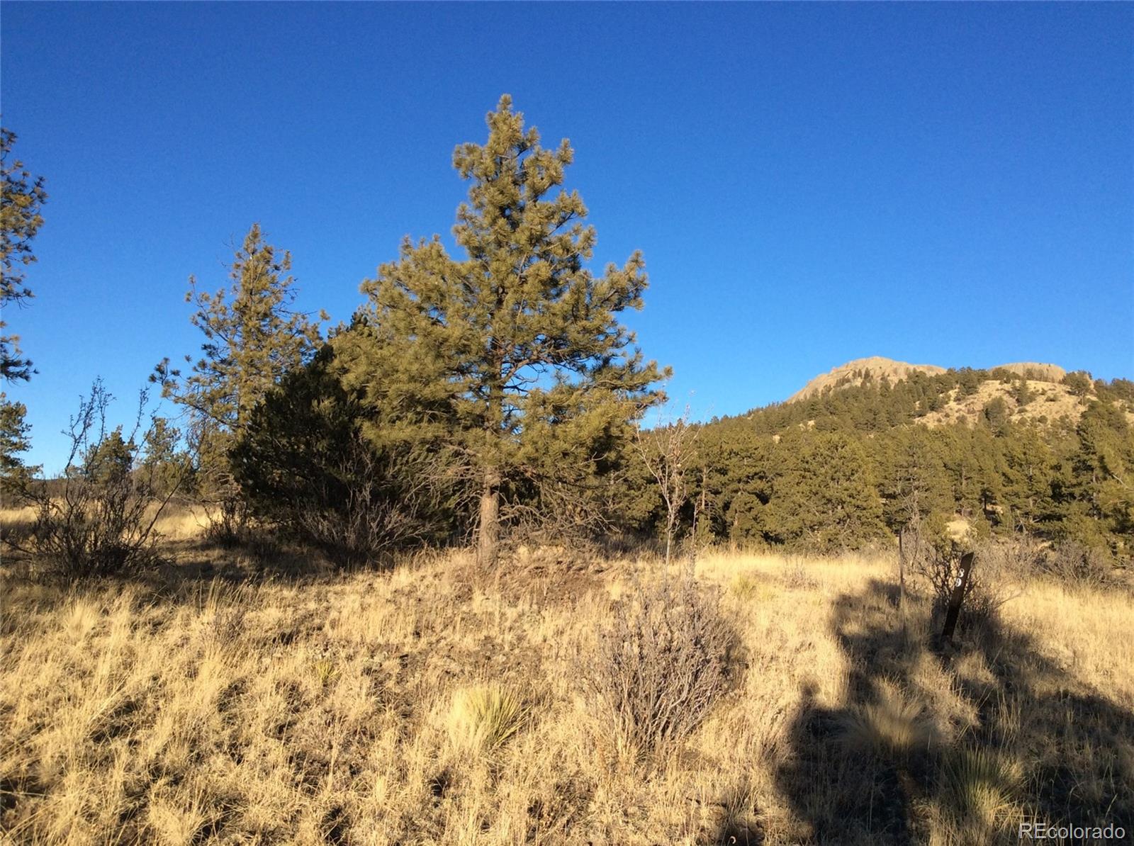 263 Apache Trail Florissant, CO 80816 - Photo 5 of 19