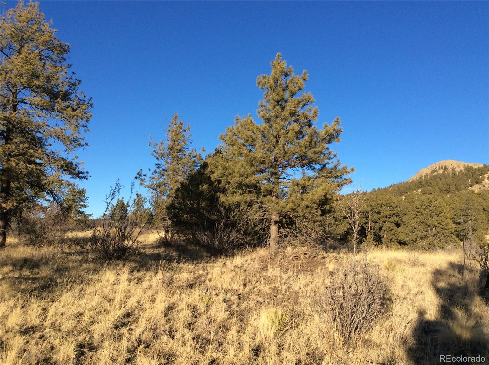 263 Apache Trail Florissant, CO 80816 - Photo 6 of 19