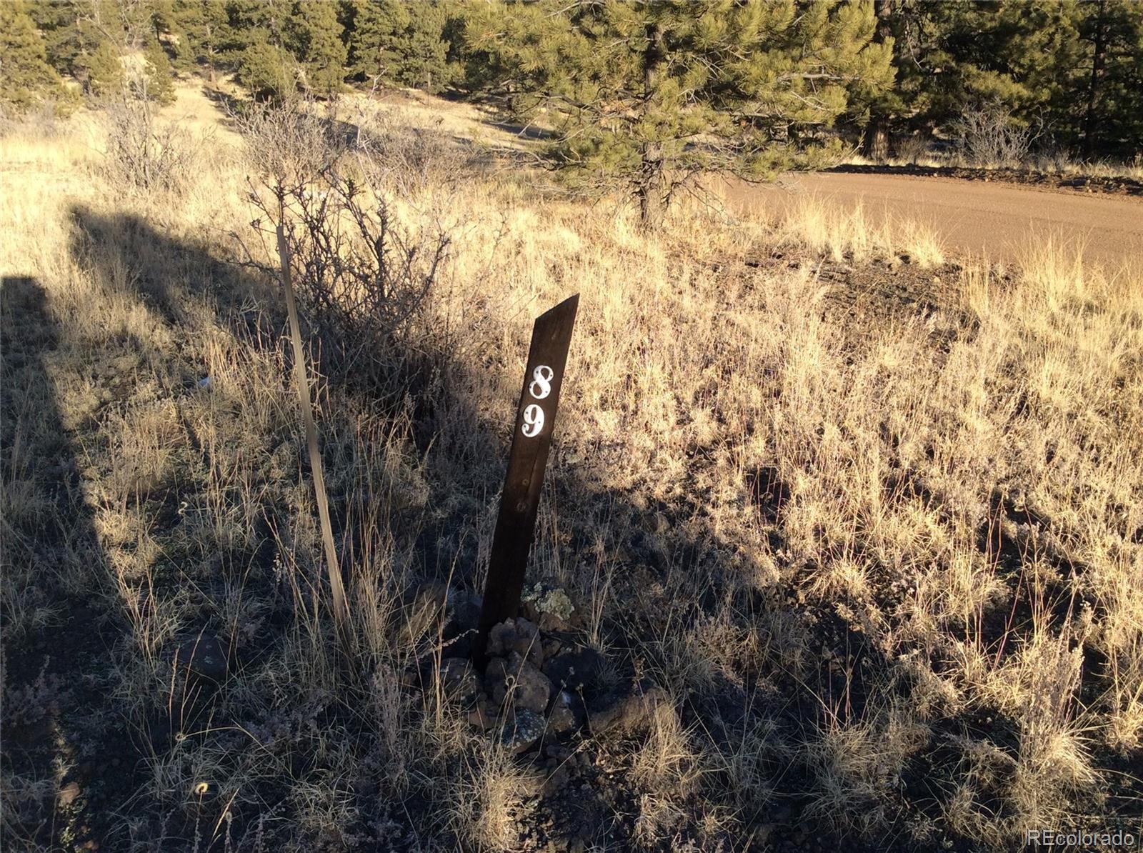 263 Apache Trail Florissant, CO 80816 - Photo 7 of 19