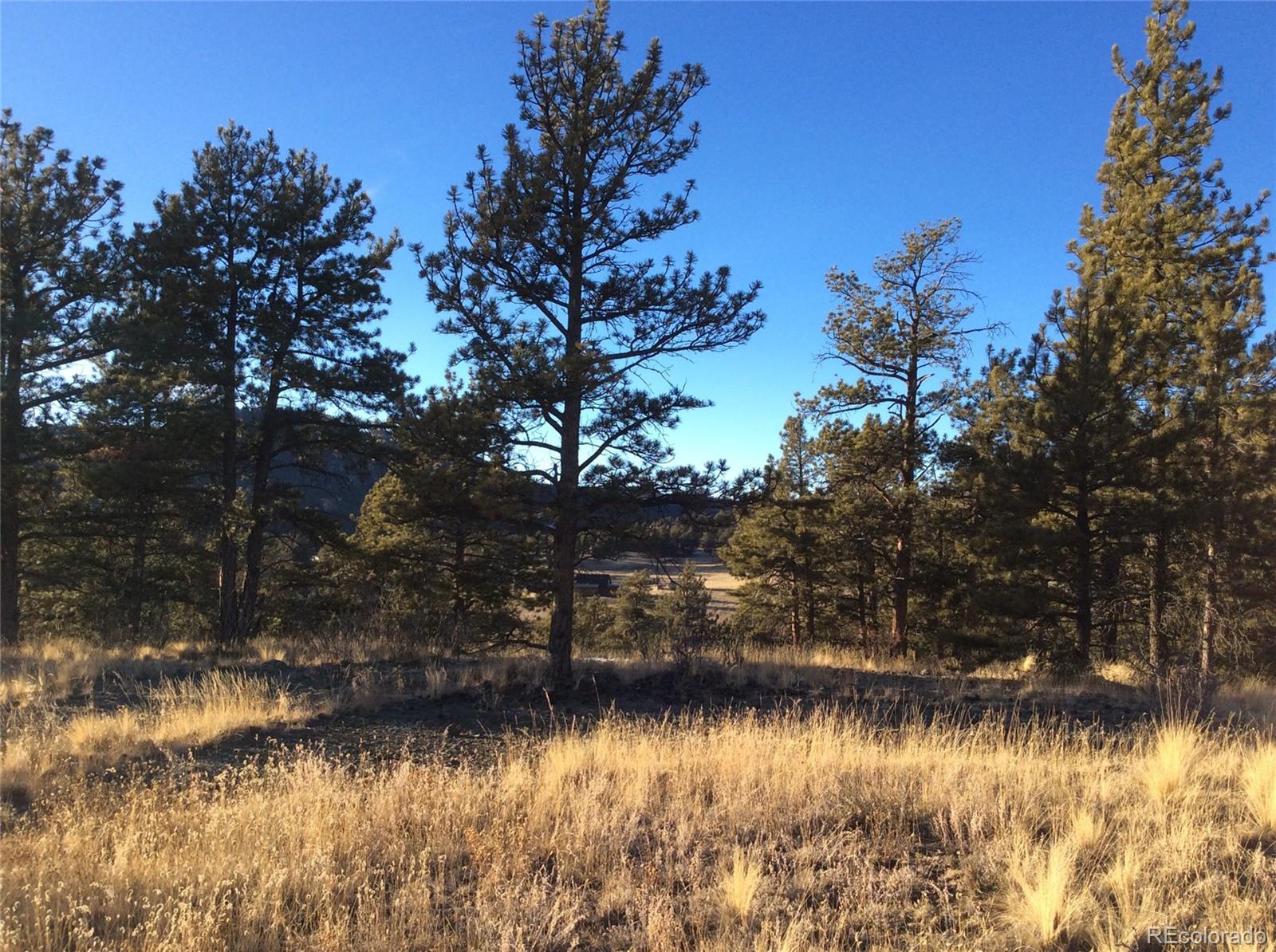 263 Apache Trail Florissant, CO 80816 - Photo 8 of 19