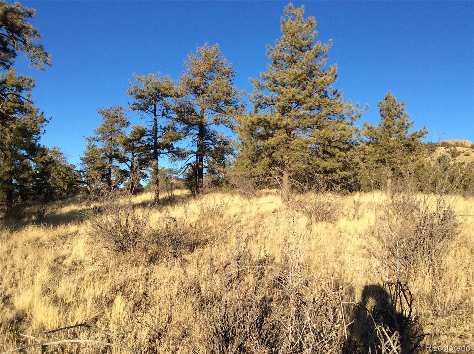 263 Apache Trail Florissant, CO 80816 - Photo 10 of 19