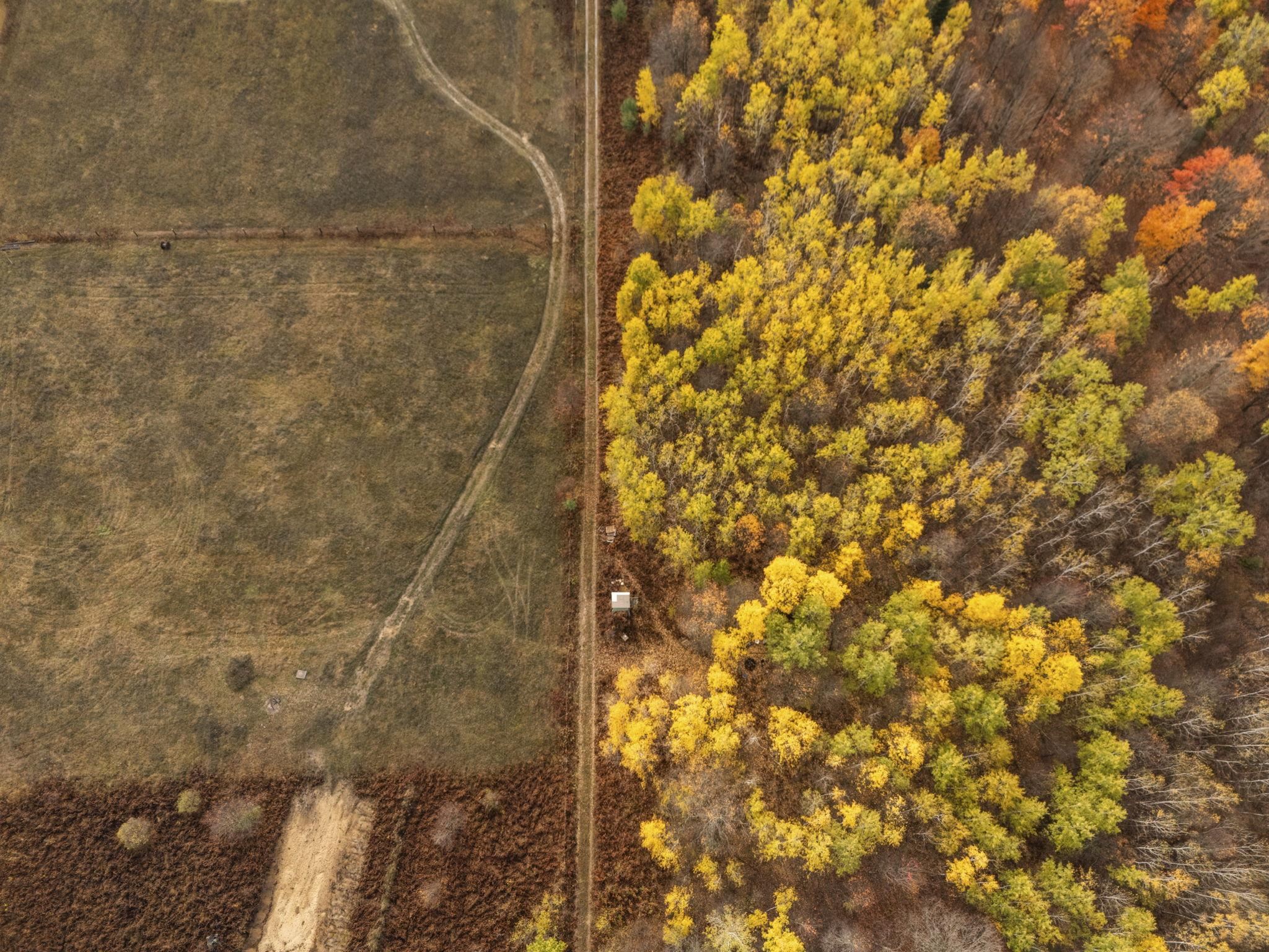 3976 Irvin Road Kingsley, MI 49649 - Photo 42 of 68