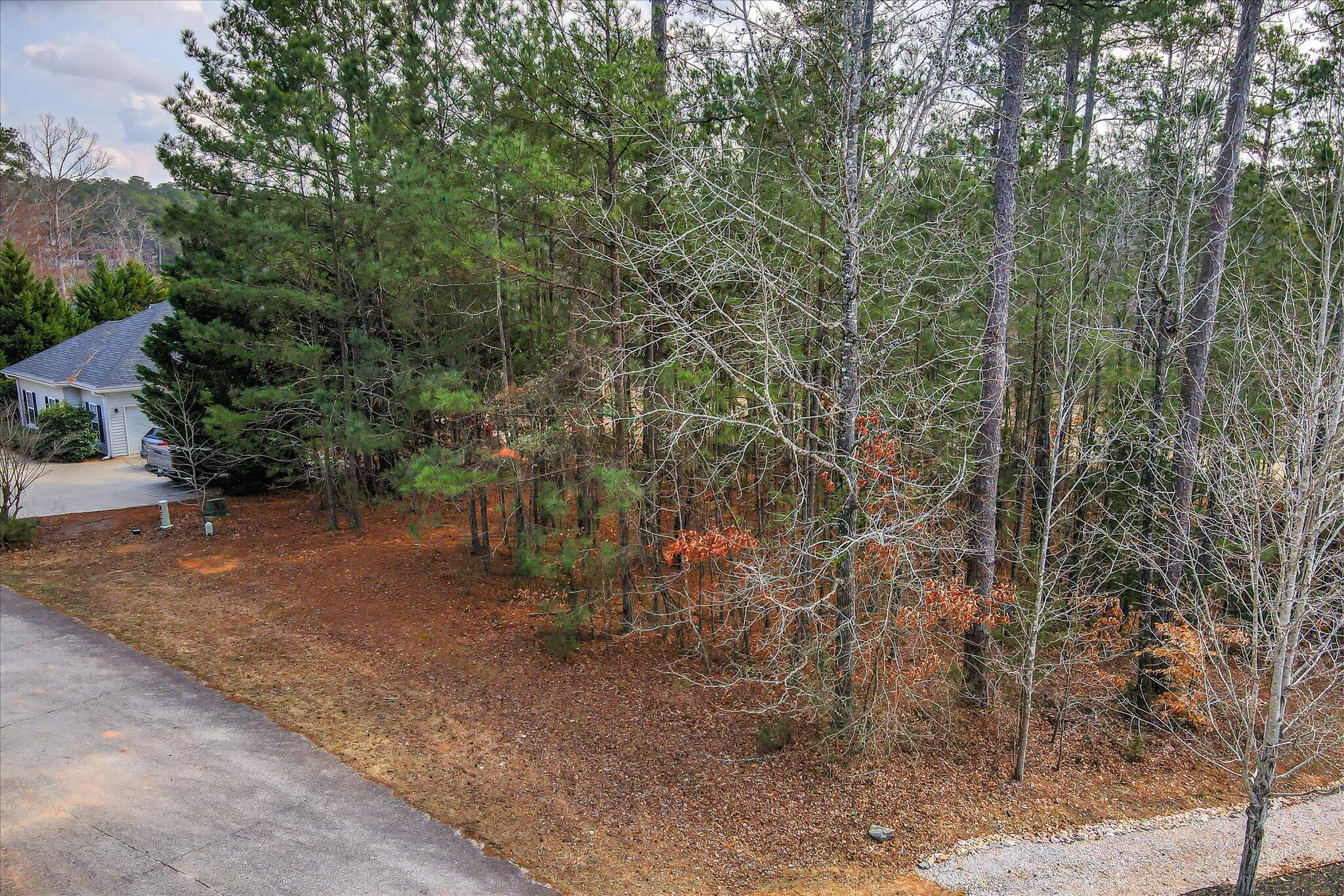 241 Amelia Drive McCormick, SC 29835 - Photo 5 of 22 04-104