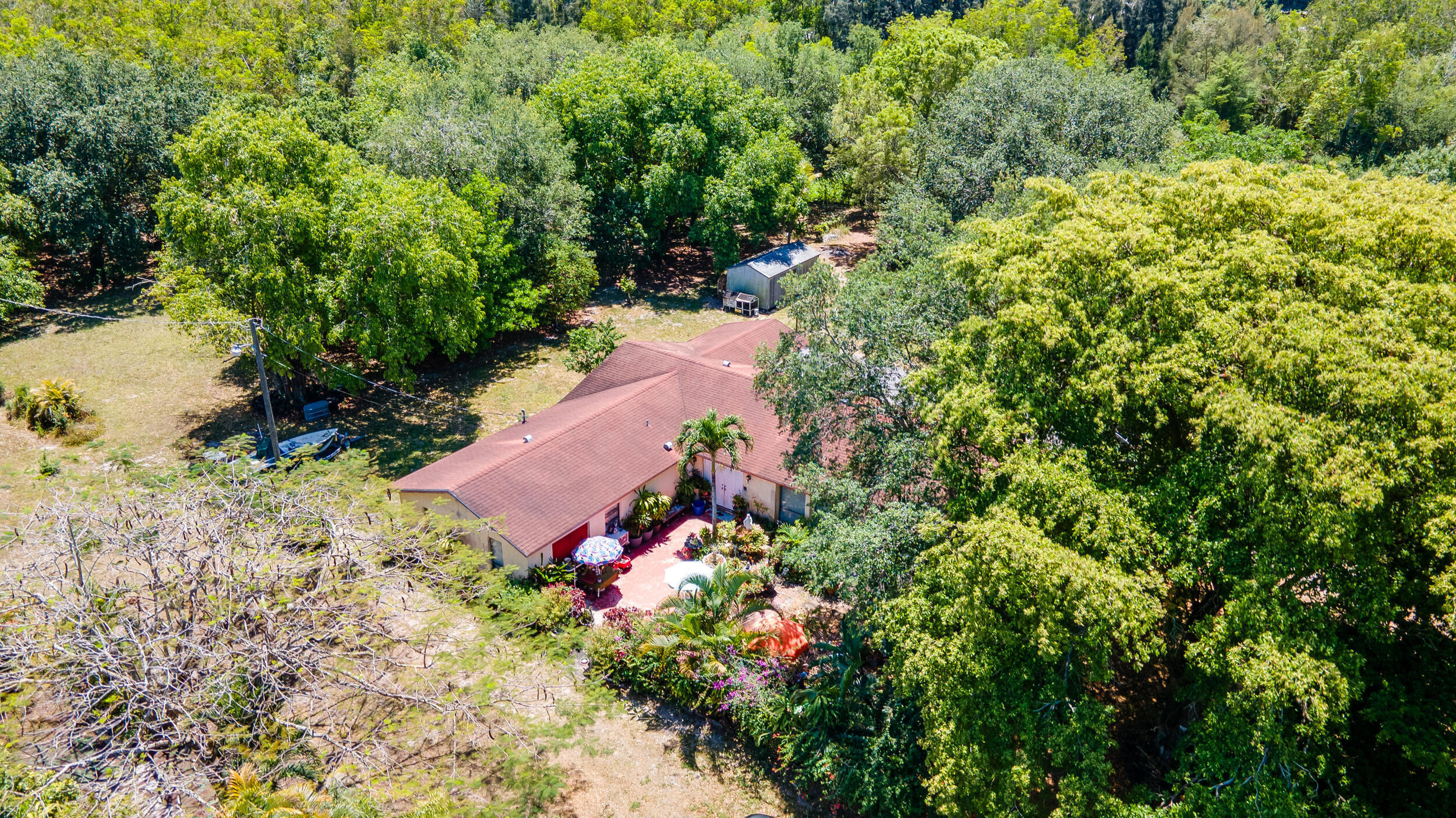 16688 Rustic Road Wellington, FL 33470 - Photo 10 of 14 a picture of flowers