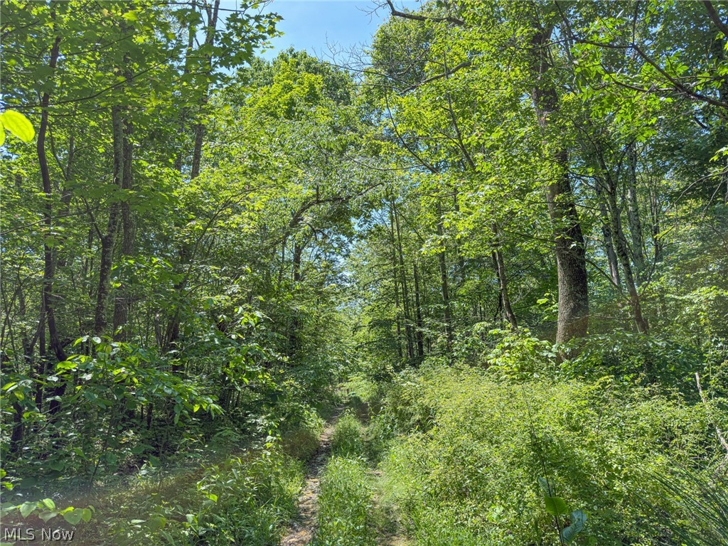 0 Twp Road Marietta, OH 45750 - Photo 25 of 50