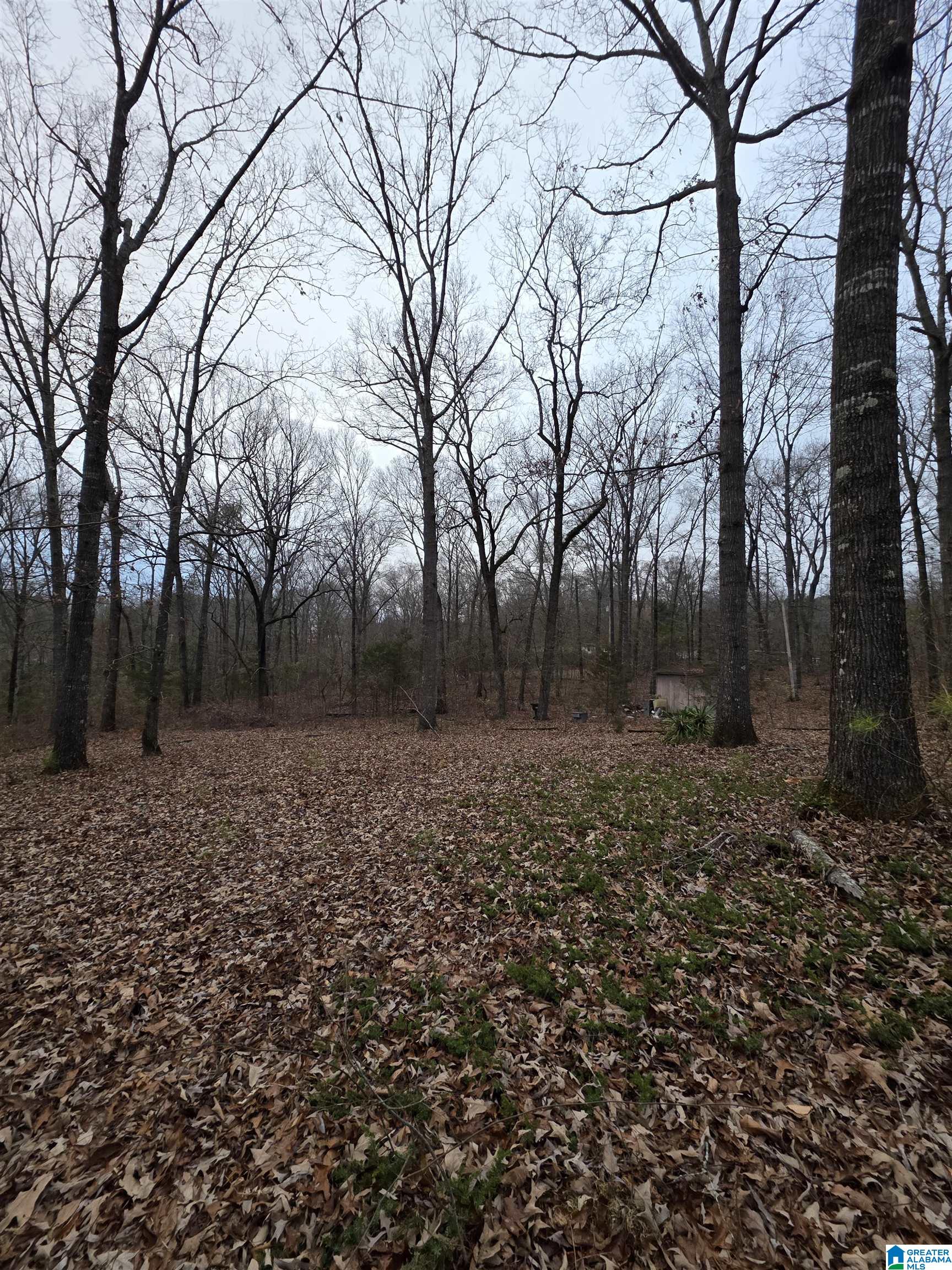322 Tucker Road Talladega, AL 35160 - Photo 16 of 21