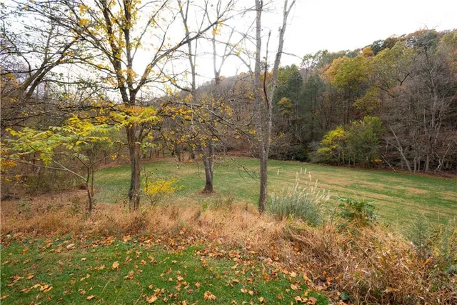 a view of a yard with a tree