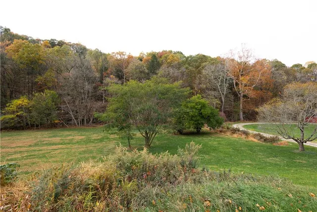 a view of a field with an trees
